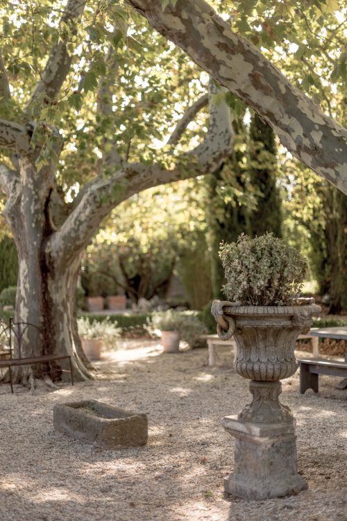 gîtes et chambres d'hôtes en provence