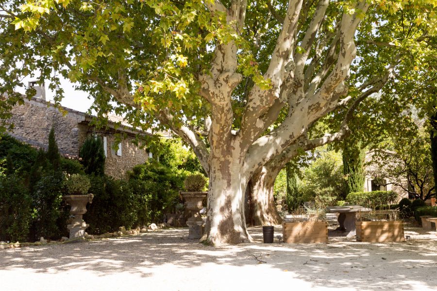 gîtes et chambres d'hôtes en provence